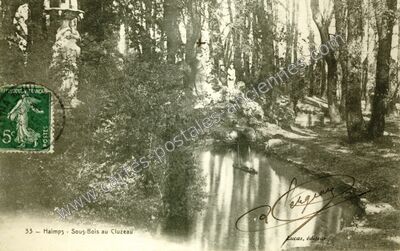 Carte postale ancienne Sous-Bois au Cluzeau — Haimps (Charente-Maritime)