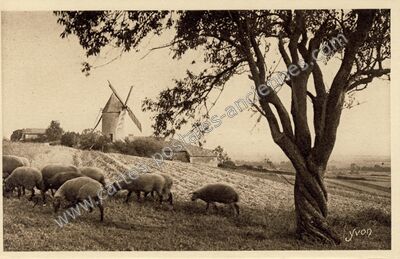 Carte postale ancienne Moulin de Civrac — Mirambeau (Charente-Maritime)