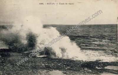 Carte postale ancienne Etude de vague — Royan (Charente-Maritime)