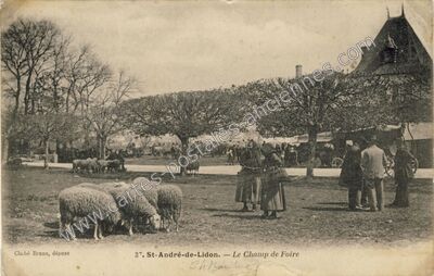 Carte postale ancienne Le Champ de Foire — Saint-André-de-Lidon (Charente-Maritime)