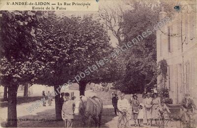 Carte postale ancienne La Rue Principale / Entrée de la Foire — Saint-André-de-Lidon (Charente-Maritime)