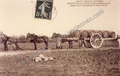 Carte postale ancienne Montelin — Sainte-Gemme (Charente-Maritime)