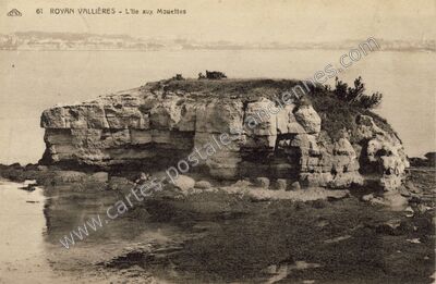 Carte postale ancienne l'Ile aux Mouettes — Saint-Georges-de-Didonne (Charente-Maritime)