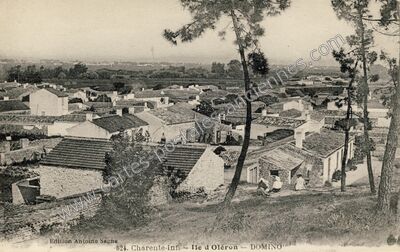 Carte postale ancienne Domino — Saint-Georges-d'Oléron (Charente-Maritime)