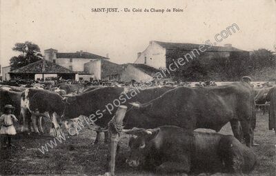 Carte postale ancienne Saint-Just-Luzac