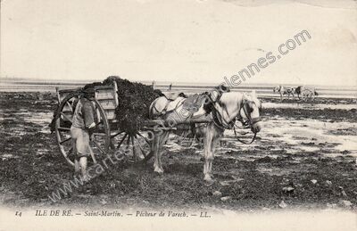 Carte postale ancienne Saint-Martin-de-Ré