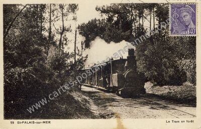 Carte postale ancienne Le Tram en forêt — Saint-Palais-sur-Mer (Charente-Maritime)
