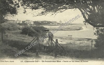 Carte postale ancienne Sentier sur les Yeuses du Bureau — Saint-Palais-sur-Mer (Charente-Maritime)