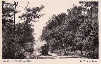 Carte postale ancienne Le Tram en Forêt — Saint-Palais-sur-Mer (Charente-Maritime)