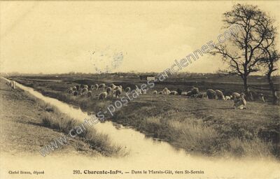 Carte postale ancienne Dans le Marais-Gât, vers St-Sornin — Saint-Sornin (Charente-Maritime)