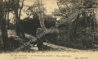 Carte postale ancienne St Trojan — Saint-Trojan-les-Bains (Charente-Maritime)