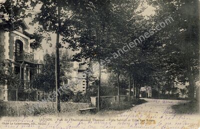 Carte postale ancienne Parc de l'Établissement Thermal. - Villa Salvini et Villa Les Roses — Saujon (Charente-Maritime)