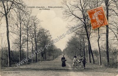 Carte postale ancienne Allée principale du Château — Tesson (Charente-Maritime)
