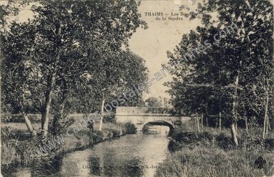 Carte postale ancienne Les Bords de la Seudre — Thaims (Charente-Maritime)