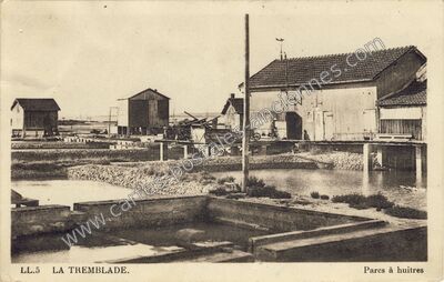 Carte postale ancienne Parcs à huitres — La Tremblade (Charente-Maritime)