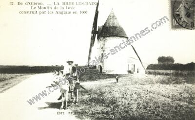 Carte postale ancienne La Brée-les-Bains