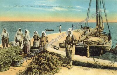Carte postale ancienne Pêcheuses d'huitres — Rivedoux-Plage (Charente-Maritime)