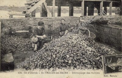 Carte postale ancienne Détroquage des huîtres — Saint-Trojan-les-Bains (Charente-Maritime)