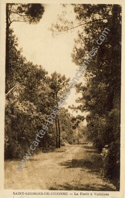 Carte postale ancienne La Forêt à Vallières — Saint-Georges-de-Didonne (Charente-Maritime)