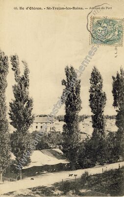 Carte postale ancienne Ile d'Oléron. - Avenue du Port — Saint-Trojan-les-Bains (Charente-Maritime)