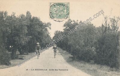 Carte postale ancienne Allée des Tamarins — La Rochelle (Charente-Maritime)
