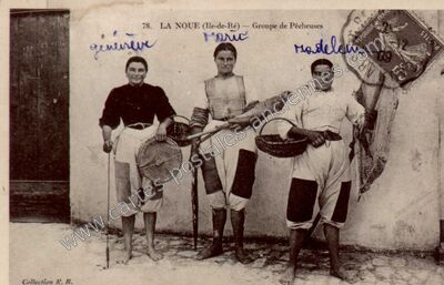 Carte postale ancienne La Noue — Sainte-Marie-de-Ré (Charente-Maritime)