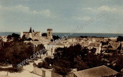 Carte postale ancienne St Martin de Re — Saint-Martin-de-Ré (Charente-Maritime)