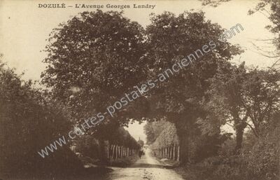 Carte postale ancienne L'Avenue Georges Landry — Dozulé (Calvados)