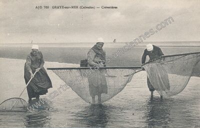 Carte postale ancienne Crévetières — Graye-sur-Mer (Calvados)