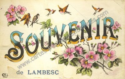 Carte postale ancienne Souvenir — Lambesc (Bouches-du-Rhône)
