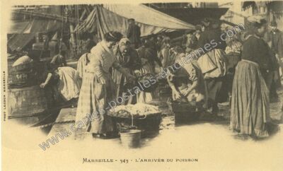 Carte postale ancienne L'arrivée du poisson — Marseille (Bouches-du-Rhône)