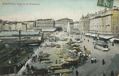 Carte postale ancienne Quai de la Fraternité — Marseille (Bouches-du-Rhône)
