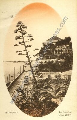 Carte postale ancienne La Corniche Palace Hôtel — Marseille (Bouches-du-Rhône)