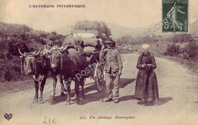 Carte postale ancienne Auvergne Pittoresque — Non Localisée (Cantal)
