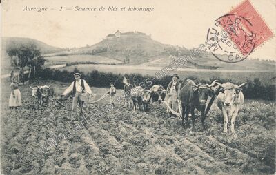 Carte postale ancienne Auvergne — Non Localisée (Cantal)