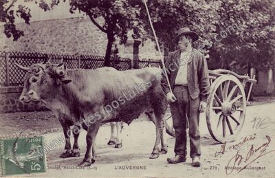 Carte postale ancienne L'Auvergne — Saint-Céré (Lot)