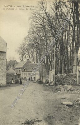 Carte postale ancienne Les Platanes et entrée du Bourg — Allanche (Cantal)