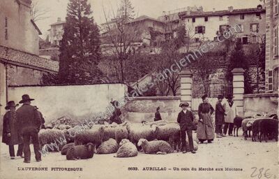 Carte postale ancienne Un coin du Marché aux Moutons — Aurillac (Cantal)
