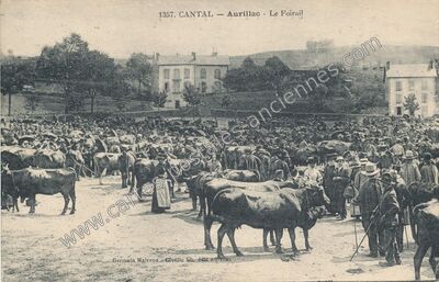 Carte postale ancienne Le Foirail — Aurillac (Cantal)