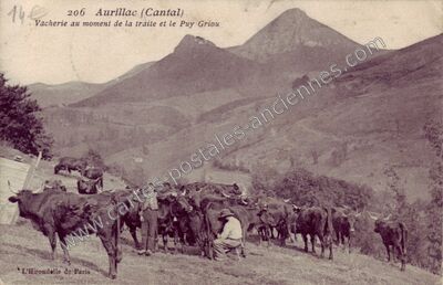 Carte postale ancienne Vacherie au moment de la traite et le Puy Griou — Aurillac (Cantal)