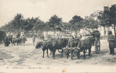 Carte postale ancienne Marché au Bois — Aurillac (Cantal)