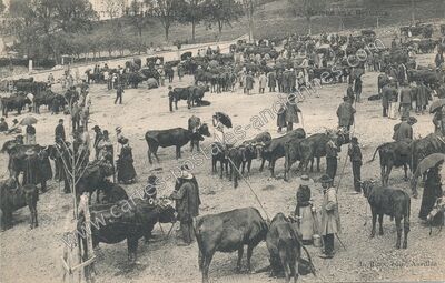 Carte postale ancienne Marché aux Bestiaux — Aurillac (Cantal)
