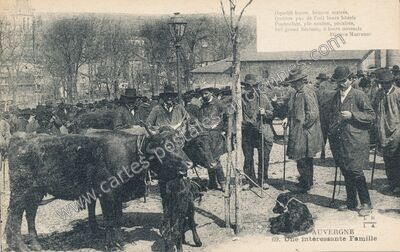 Carte postale ancienne Une intéressante Famille — Aurillac (Cantal)