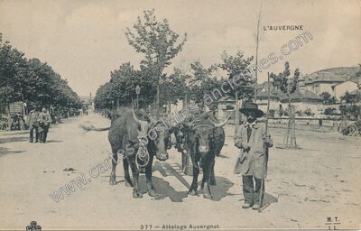 Carte postale ancienne Attelage Auvergnat — Aurillac (Cantal)