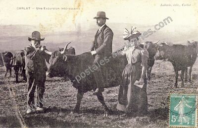 Carte postale ancienne Une Excursion intéressante — Carlat (Cantal)