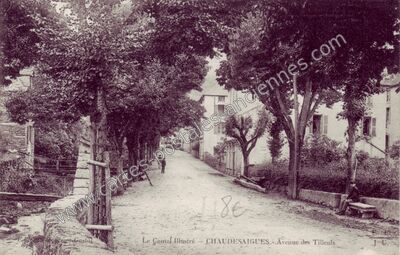 Carte postale ancienne Avenue des Tilleuls — Chaudes-Aigues (Cantal)