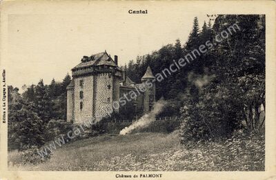 Carte postale ancienne Chateau de Palmont — Fontanges (Cantal)