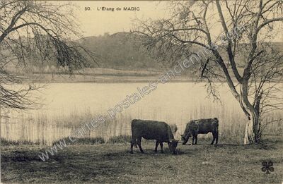 Carte postale ancienne L'Etang — Madic (Cantal)