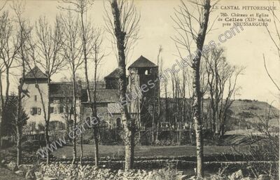 Carte postale ancienne Neussargues — Celles (Cantal)