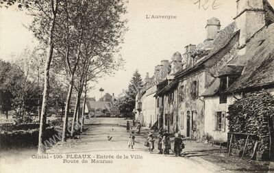 Carte postale ancienne Entrée de la Ville, Route de Mauriac — Pleaux (Cantal)
